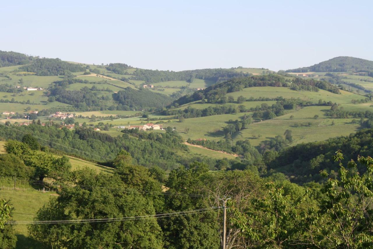 Le Clos Du Jubin Tarare Exterior photo